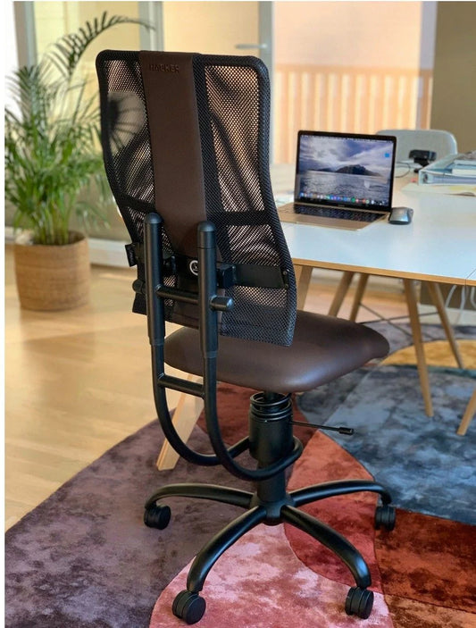 Modern Ergonomic Office Chair