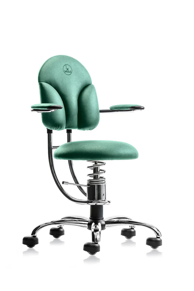 Spinalis Basic