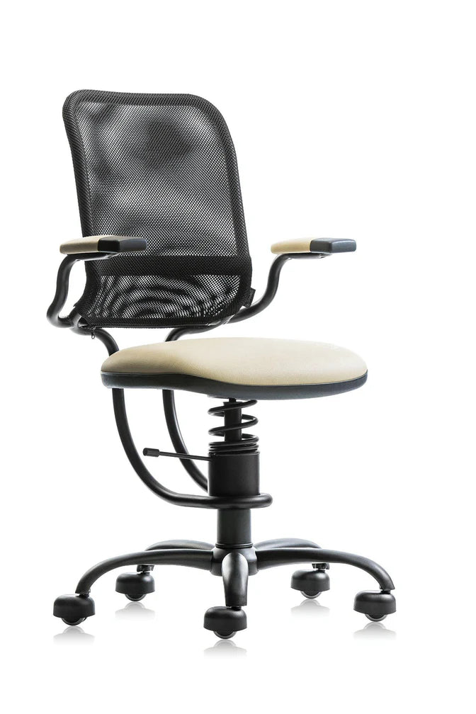 Spinalis Chair Ergonomic