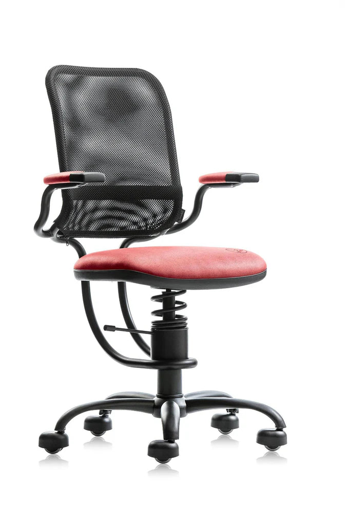 Spinalis Chair Ergonomic