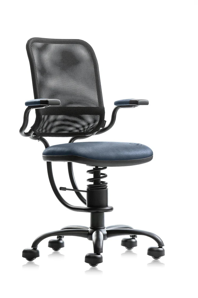 Spinalis Chair Ergonomic