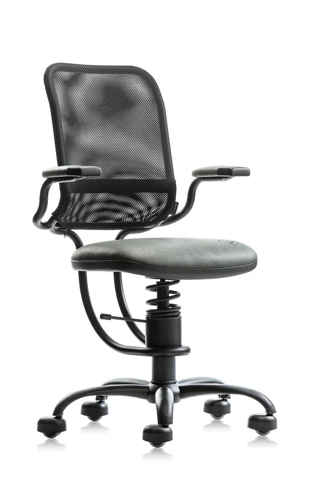 Spinalis Chair Ergonomic